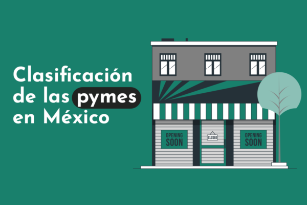 Clasificación De Las Pymes Kaxaan